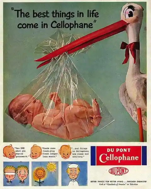 Cellophane Stalk Baby?