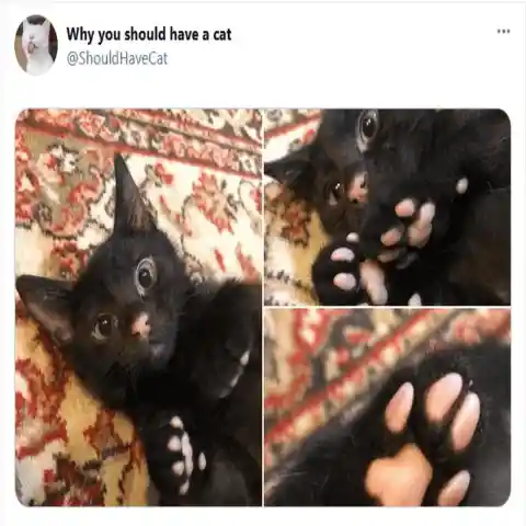 Their toes are the cutest