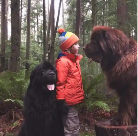 Best Friends in the Forest