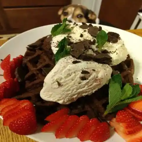 Chocolate cake in a waffle maker? Yes, please