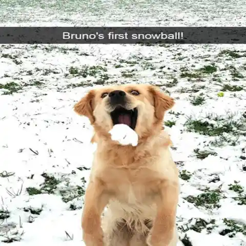 First Snow Experience 