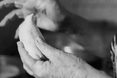 My Sister Kicked Me Out of Grandma's House, Which She Inherited – But She Had No Idea About Grandma's Secret