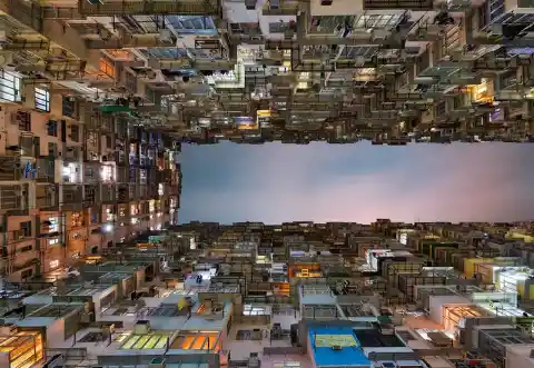 The Urban Jungle of Quarry Bay