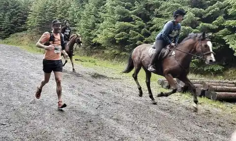 Man Versus Horse Marathon