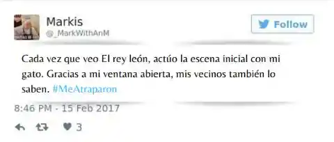 El Rey León y sus Vecinos