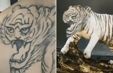 A “Fierce” Tiger