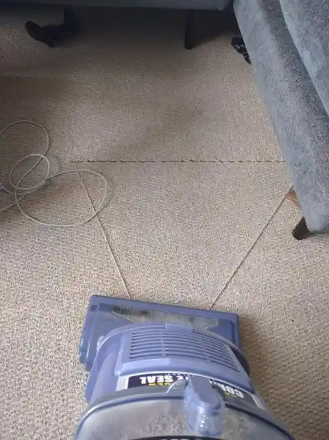 Cleaning the Carpet