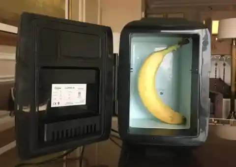 Mini-Fridge