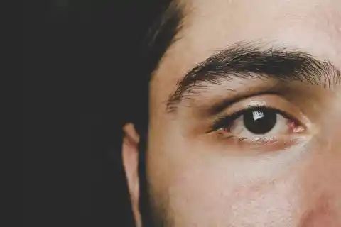 The Voices