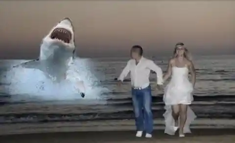 Jaws And Vows