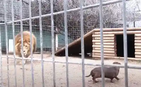 First Encounter
