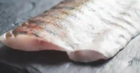Just Fish