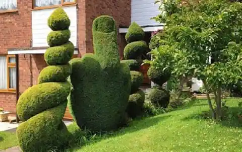 The Rude Hedge