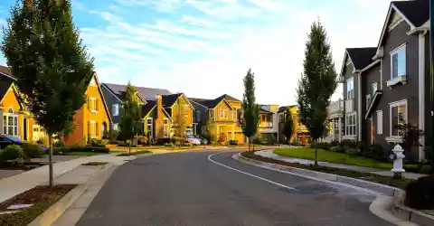 Life in a Quiet Seattle Neighborhood