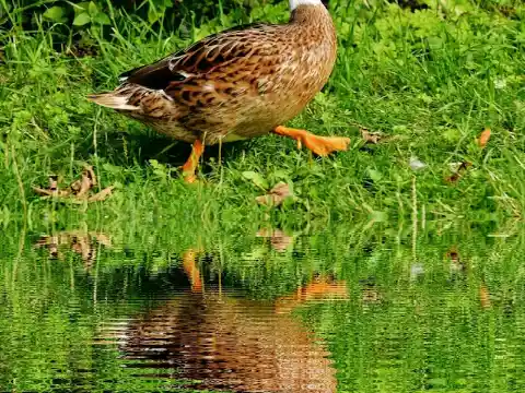Having His Dad To Thank