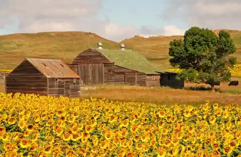 North Dakota