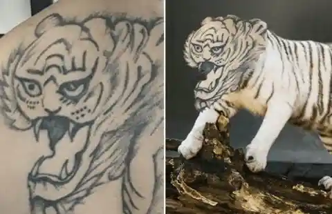 The Tiger That Wasn’t Terrifying