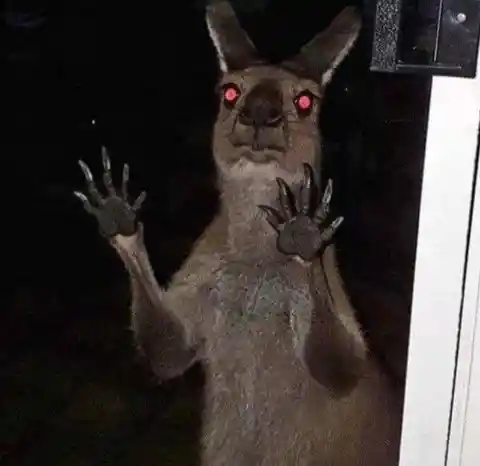 A Creepy Visitor