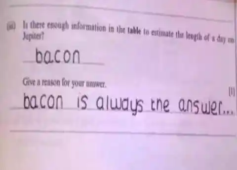 When In Doubt, Choose Bacon