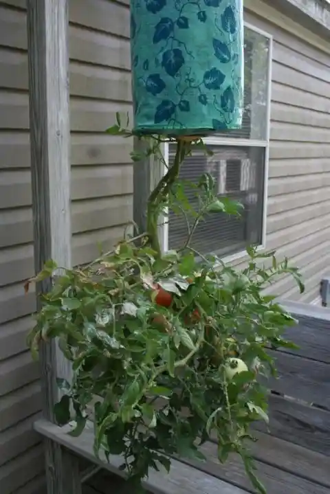 DIY Upside-Down Hanging Planter