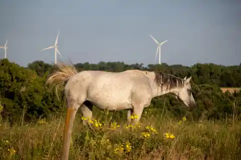 Nebraska