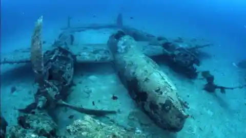 They Found Things