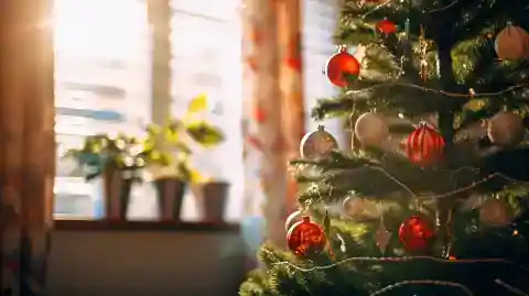 My Mother Left Me Her House, but Only If I Let My Brother Move in – on Christmas Morning, Everything Finally Made Sense
