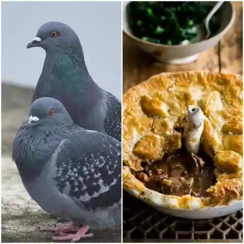 Pigeon Pie