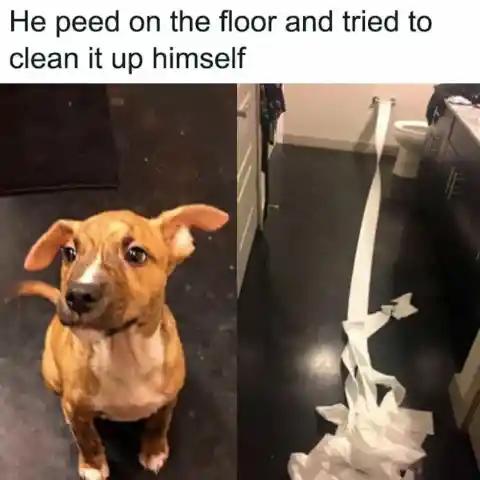 It Wasn’t Me