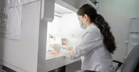 A Biological Connection