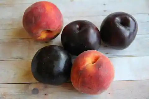 Fruits With Pits