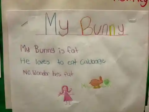 Funny Bunny