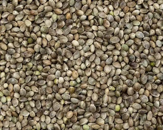 Hemp Seeds